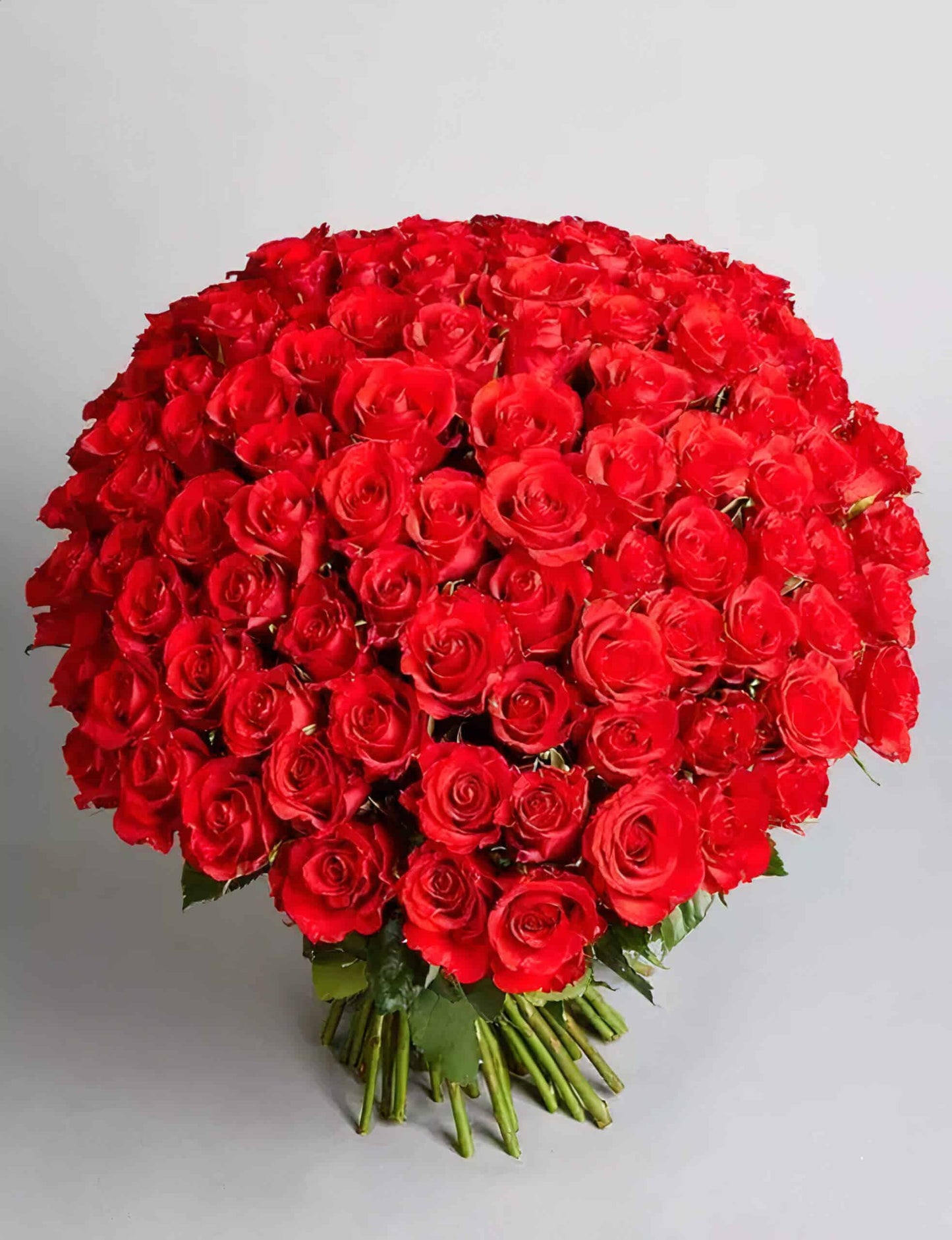 100 Red Roses Bouquet