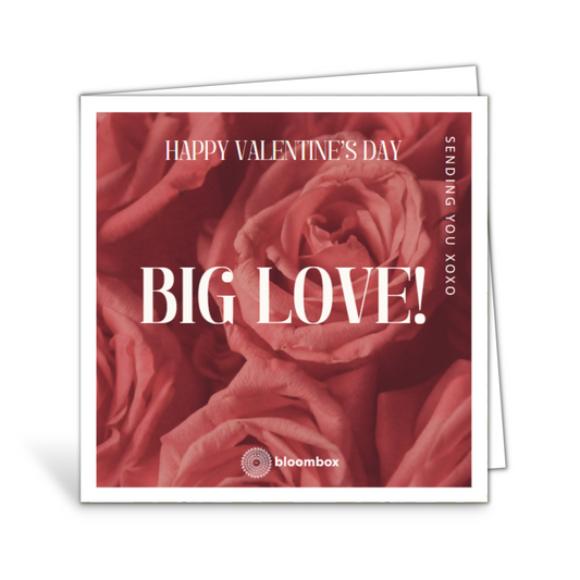 Card Valentines Big Love