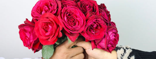 Blooming Romance: Why Roses Reign Supreme on Valentine's Day