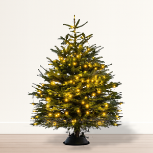 Merry Christmas!