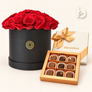 Chocolate Bundles