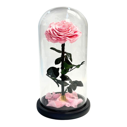 ETERNAL ROSE SINGLE LARGE