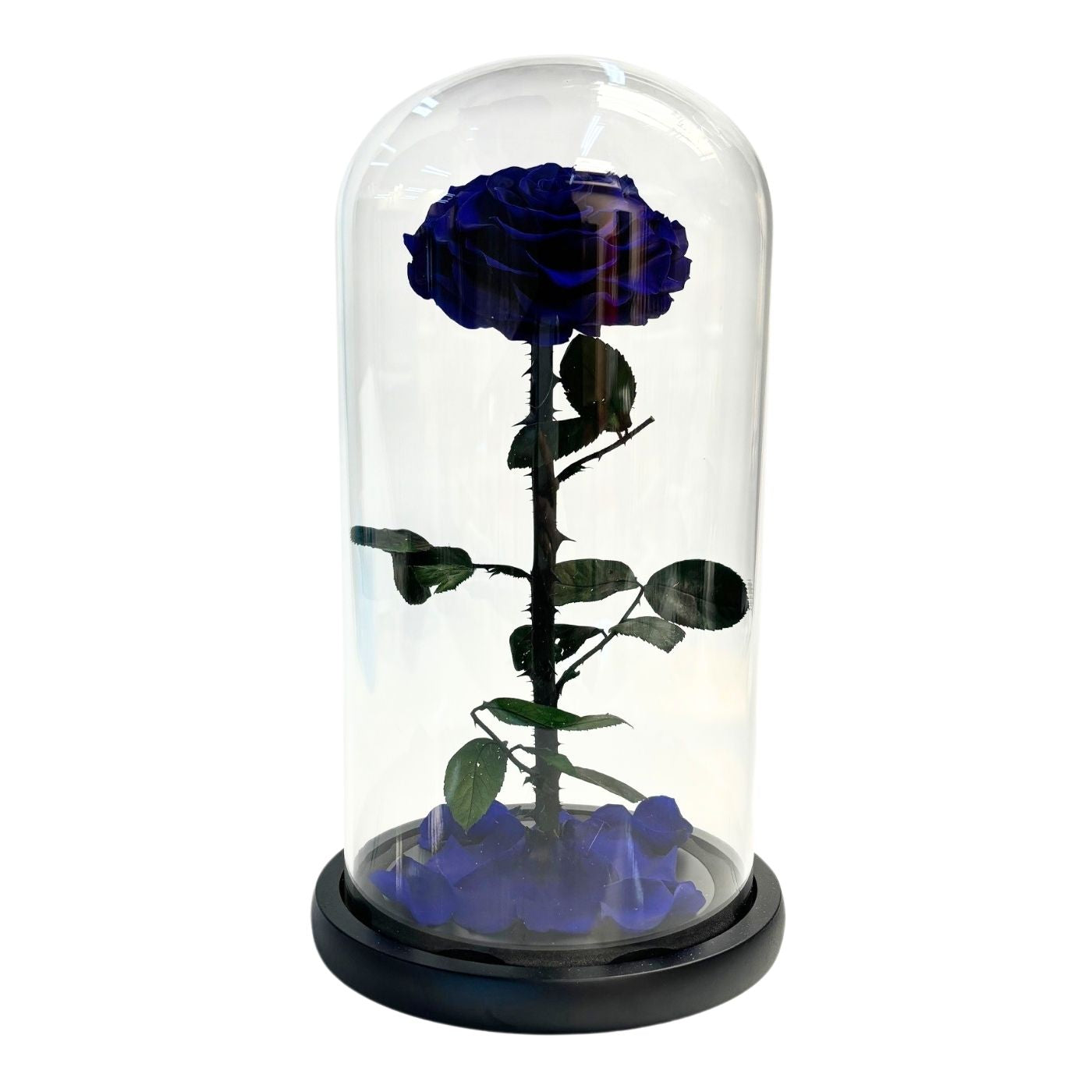 ETERNAL ROSE SINGLE LARGE