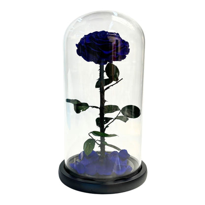 ETERNAL ROSE SINGLE LARGE