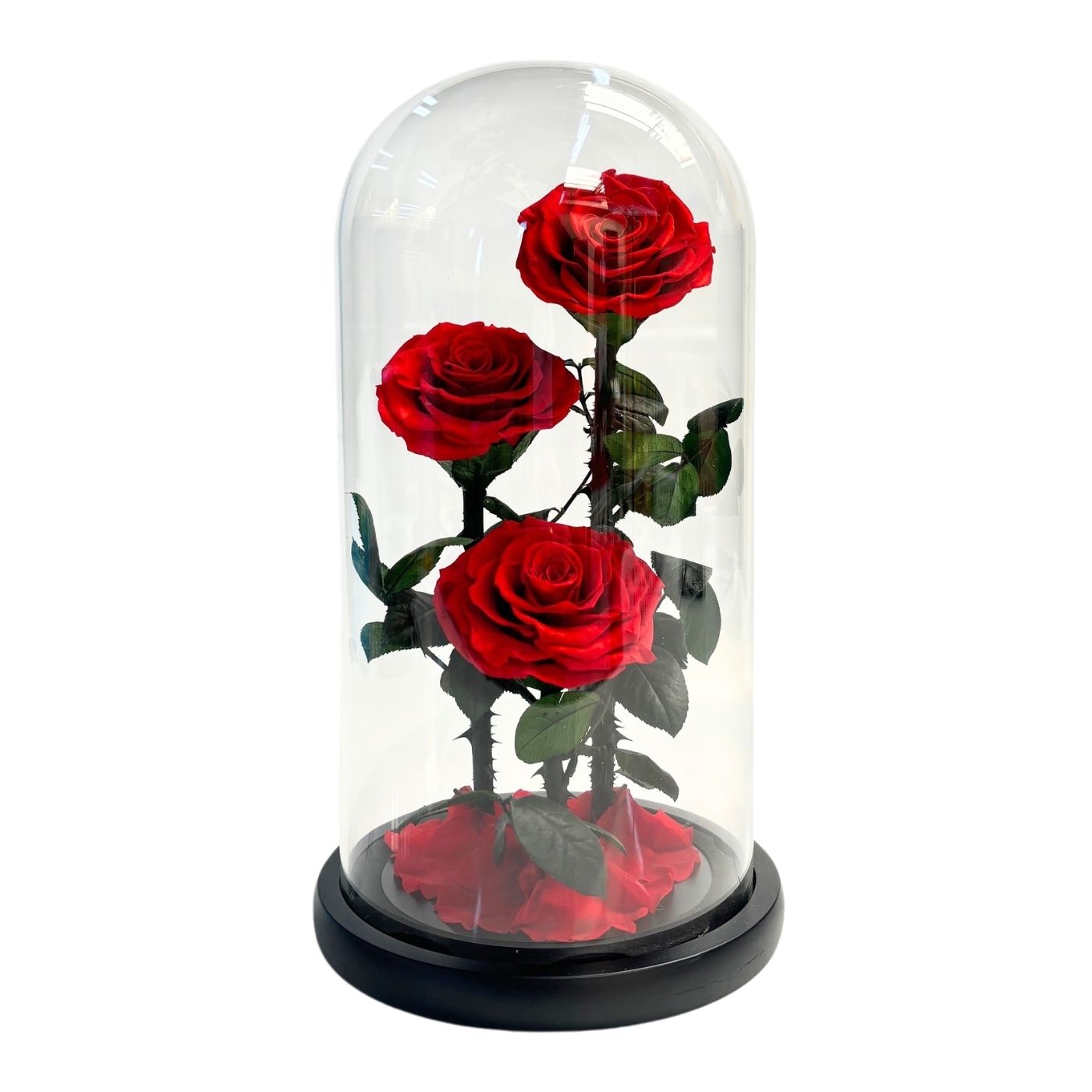 ETERNAL ROSE PREMIUM – Bloombox