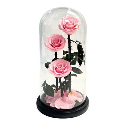 ETERNAL ROSE PREMIUM