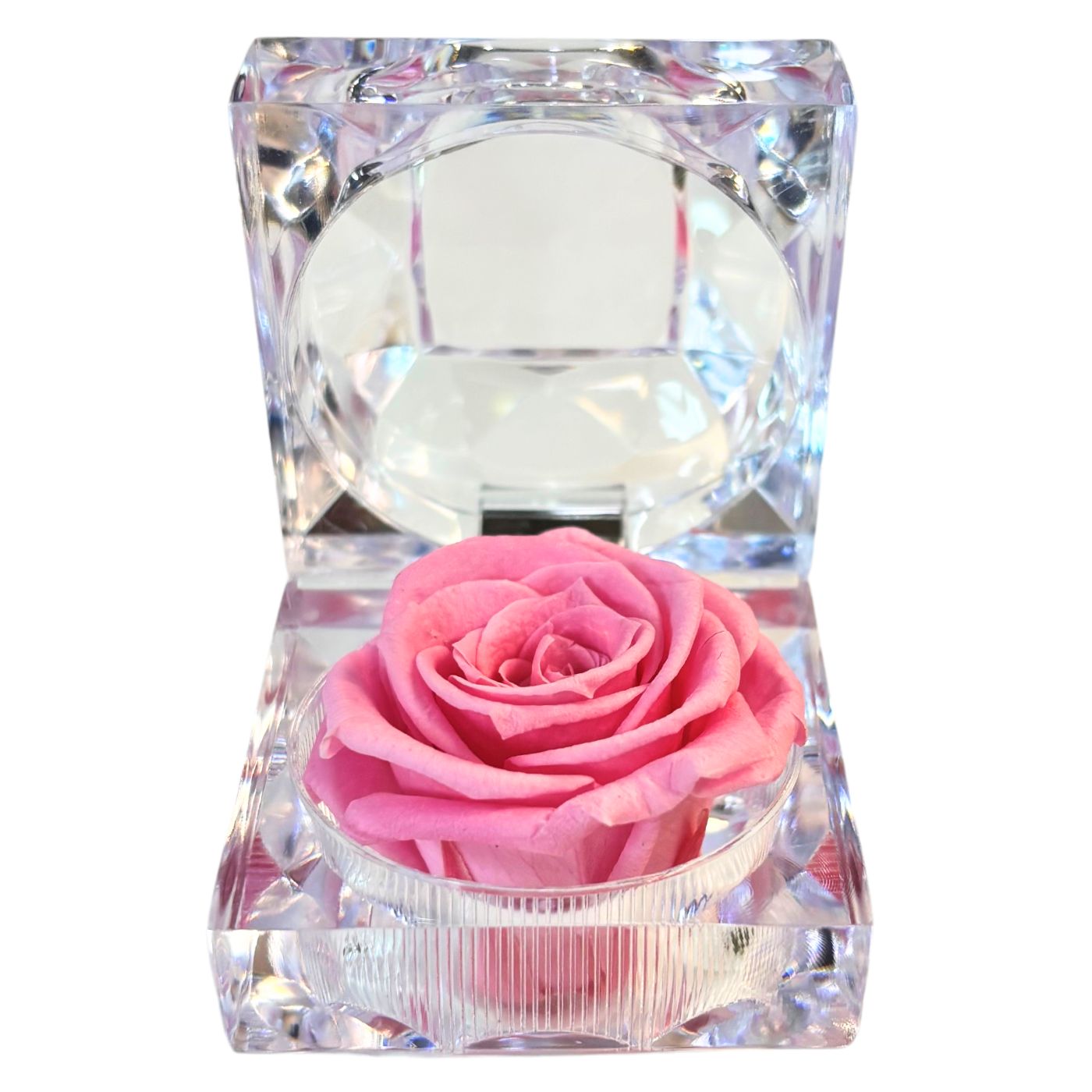 ETERNAL ROSE IN BOX
