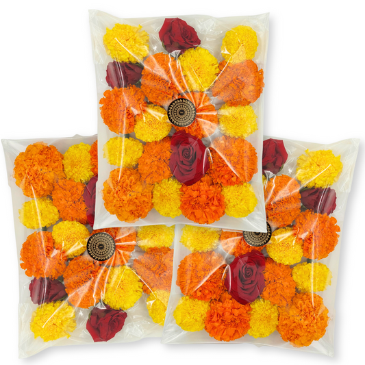 Pooja Pack Large x3