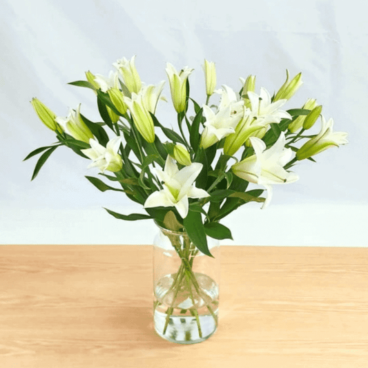 white lilies in a vase