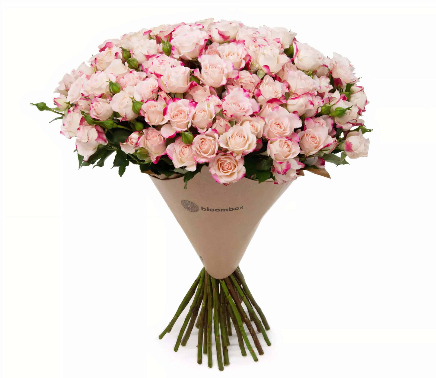Deluxe Size Spray Rose Bunches