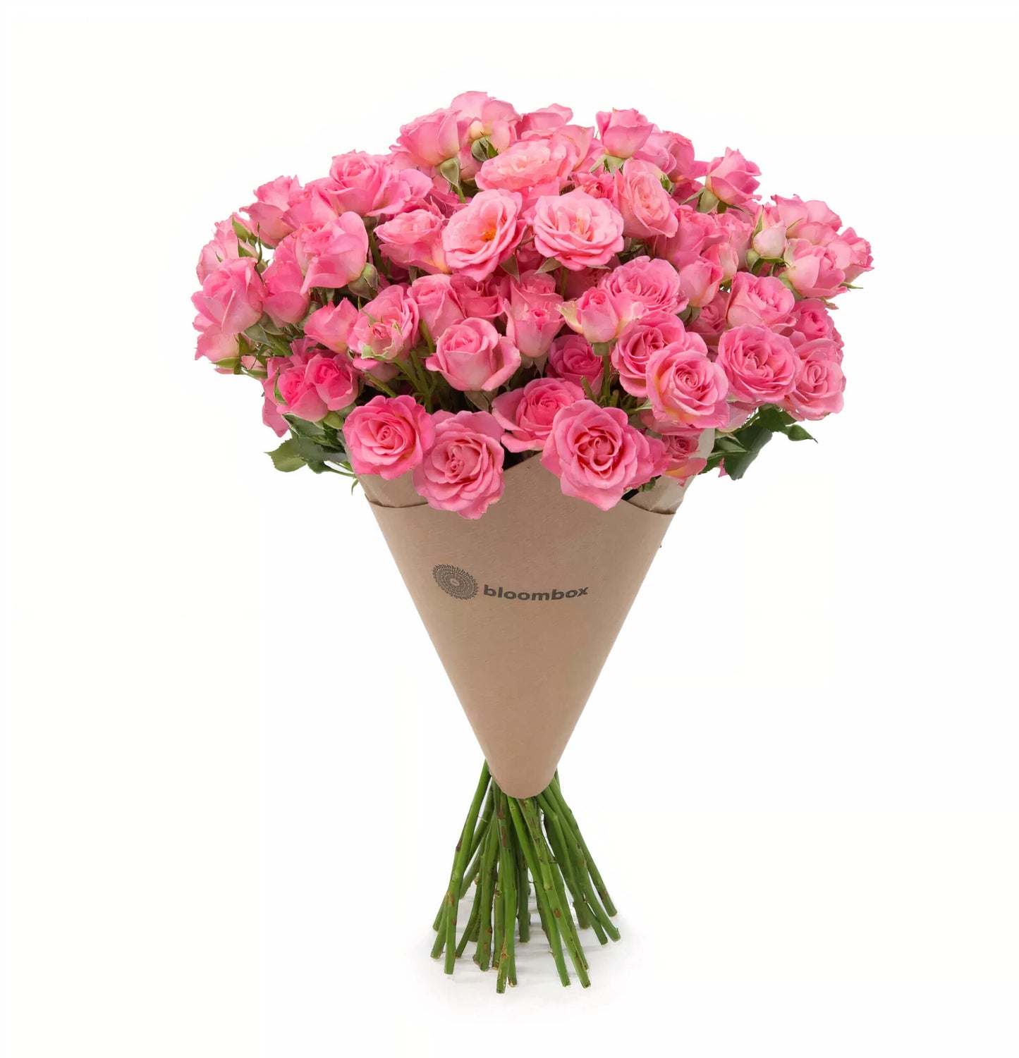 Deluxe Size Spray Rose Bunches